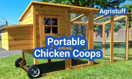 Portable Chicken Coops: Best Designs for Moving Your Flock Safely