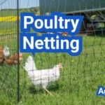 Poultry Netting Explained: Electric vs Non-Electric and How to Install It