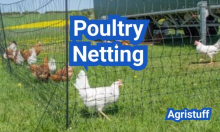 Poultry Netting Explained: Electric vs Non-Electric and How to Install It