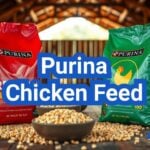 Purina Chicken Feed: Product Lines Explained and How to Pick the Right Bag