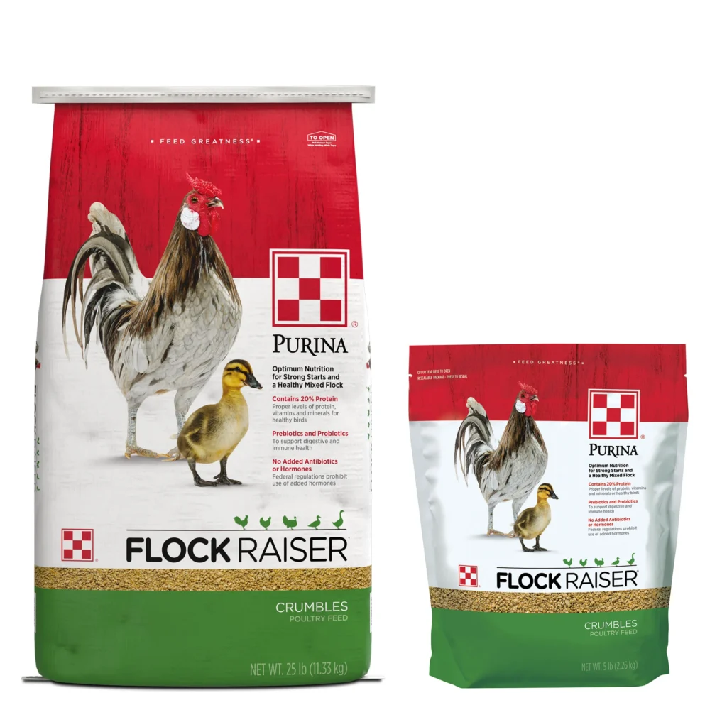 Purina Chicken Feed: Product Lines Explained and How to Pick the Right Bag Purina Chicken Feed: Product Lines Explained and How to Pick the Right Bag