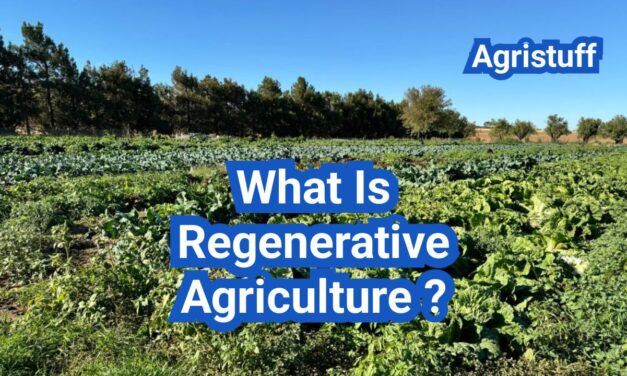 Regenerative Agriculture Definition: The Ultimate Guide for Modern Farming