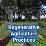 Regenerative Agriculture Practices: A Practical Step-by-Step Plan for U.S. Farms