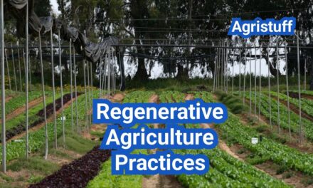 Regenerative Agriculture Practices: A Practical Step-by-Step Plan for U.S. Farms