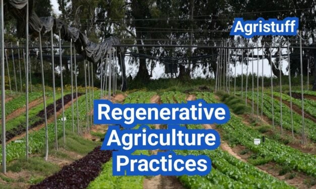 Regenerative Agriculture Practices: A Practical Step-by-Step Plan for U.S. Farms