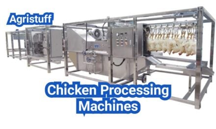 Chicken Processing Machine: Line Steps, Capacity Options, and Hygiene Must-Haves