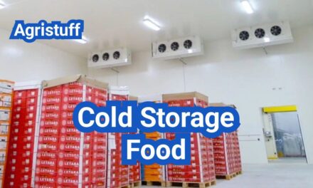 Cold Storage Food: Warehouse Temperature Zones, Monitoring, and Top Failure Points