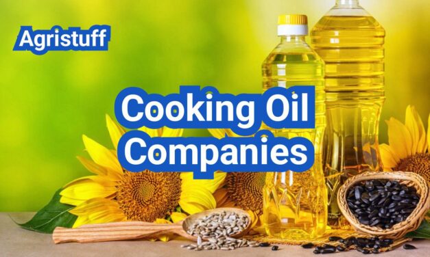 Cooking Oil Companies: How U.S. Edible Oils Are Made (and Who Supplies What)