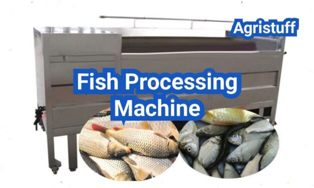 Fish Processing Machine Buyer’s Guide: Filleting, Pin-Boning, Yield, and Line Speed