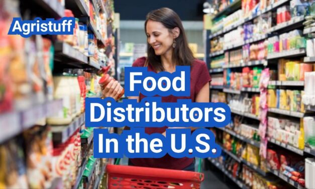 Food Distributors in the U.S.: How Wholesale Distribution Works (and How to Choose One)