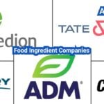 Food Ingredient Companies: Core Categories, Capabilities, and Sourcing Shortcuts