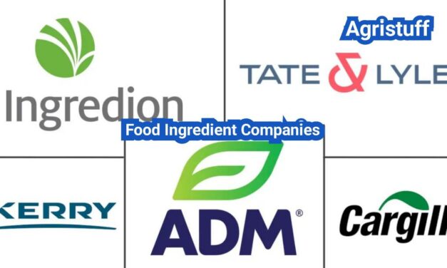 Food Ingredient Companies: Core Categories, Capabilities, and Sourcing Shortcuts