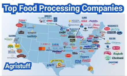 Food Processing Companies: Services They Offer (and How to Request Quotes the Right Way)