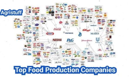 Food Production Companies: How to Evaluate Capacity, Reliability, and On-Time Delivery