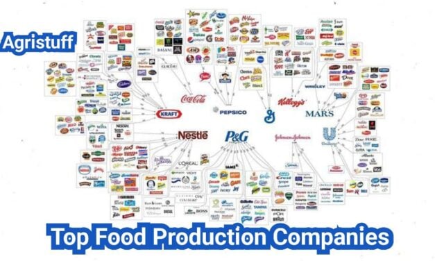 Food Production Companies: How to Evaluate Capacity, Reliability, and On-Time Delivery
