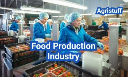 U.S. Food Production Industry: Where Growth Is Happening (and What’s Driving It)