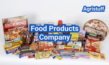 Starting a Food Products Company: From Idea Validation to Your First Retail Order