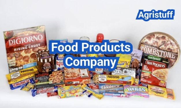 Starting a Food Products Company: From Idea Validation to Your First Retail Order