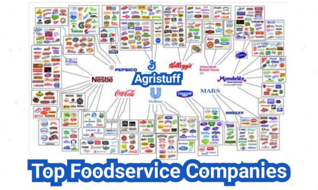 Foodservice Companies: The U.S. Landscape (Broadline vs. Specialty vs. Direct)