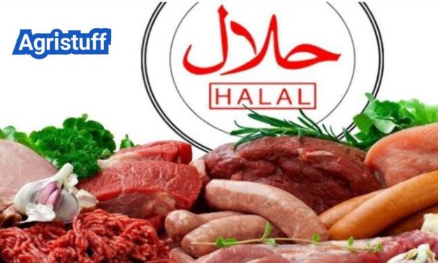 Global Halal Market: Demand Drivers and What U.S. Brands Need to Know