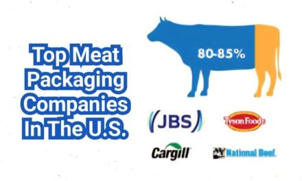 Meat Packaging Companies: Films, Trays, Leak Prevention, and Supplier Comparison