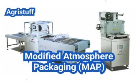 Modified Atmosphere Packaging Machine (MAP): Gas Mixes, Film Specs, and ROI