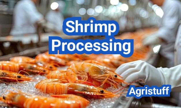 Shrimp Processing: Deheading, Peeling, Freezing, and Quality Grading Explained