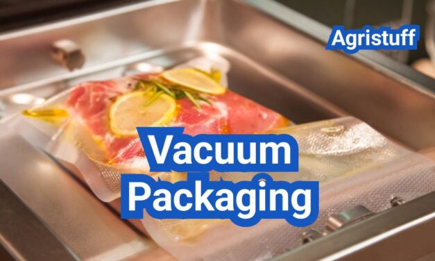 Vacuum Packaging for Food: Shelf Life, Food Safety, and Best Use Cases (U.S. Focus)
