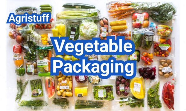 Vegetable Packaging: Venting, Condensation Control, and Fresh-Cut Shelf-Life Tips