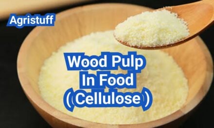 Wood Pulp in Food: Cellulose Additives, Labeling, Safety, and Common Uses