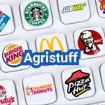 Largest Food Service Companies in the U.S.: Who They Serve and What They Offer