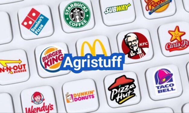 Largest Food Service Companies in the U.S.: Who They Serve and What They Offer