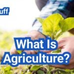 What Is Agriculture? Definition, Types, and Why It Matters