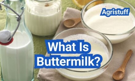 Buttermilk: Cultured vs Traditional and Best Baking Uses