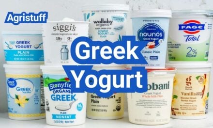 Greek Yogurt In The U.S.: Protein, Texture, and Best Uses