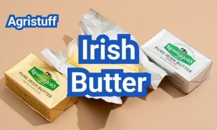 Irish Butter: Why It Tastes Richer and Is It Worth Buying?
