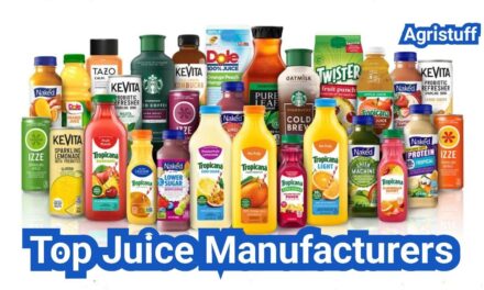 Juice Manufacturers: Private Label vs. Co-Packing and How to Compare Facilities