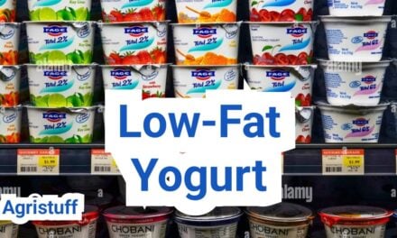 Low Fat Yogurt: Nutrition, Texture, and Who It Fits Best