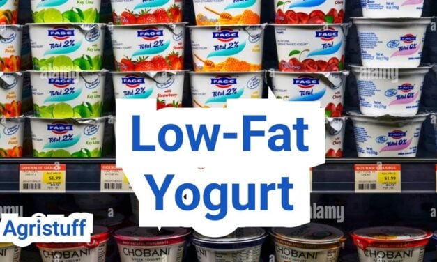 Low Fat Yogurt: Nutrition, Texture, and Who It Fits Best