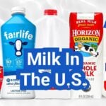 Milk in the U.S.: Types, Nutrition, Processing, and Everyday Uses