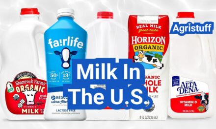 Milk in the U.S.: Types, Nutrition, Processing, and Everyday Uses