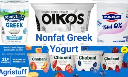 Nonfat Greek Yogurt: Protein, Taste, and Smart Uses