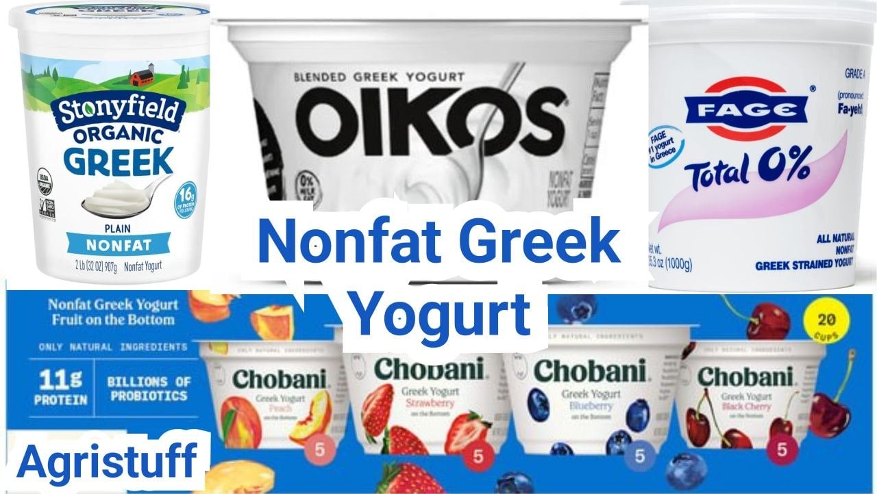 Is Nonfat Greek Yogurt Bad For You