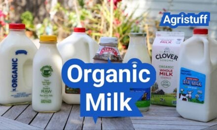 Organic Milk: USDA Standards, Nutrition, and Is It Worth It?