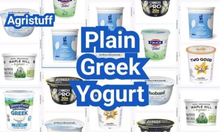 Plain Greek Yogurt: Why It’s Thicker and How to Use It