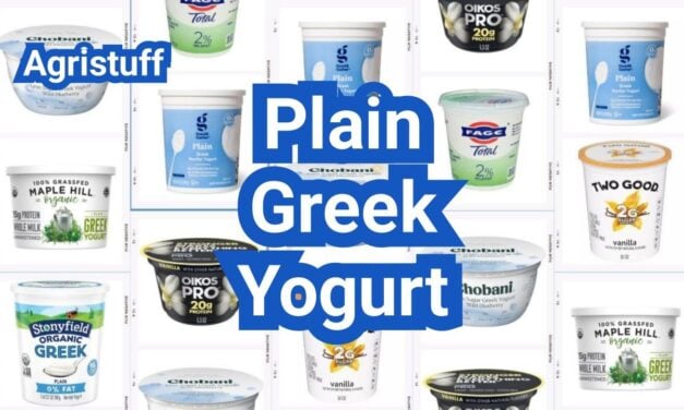 Plain Greek Yogurt: Why It’s Thicker and How to Use It
