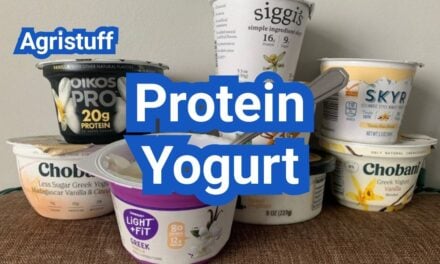 Protein Yogurt: How to Choose High-Protein Options Without Extra Sugar