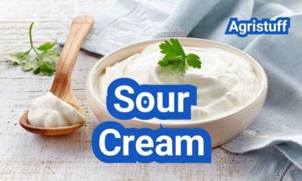 Sour Cream: How It’s Made, Fat Levels, and Best Uses
