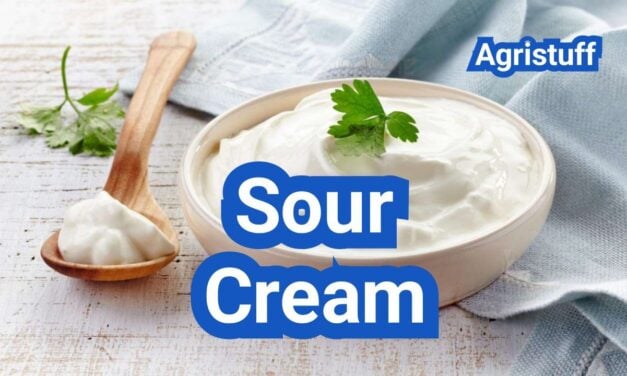 Sour Cream: How It’s Made, Fat Levels, and Best Uses