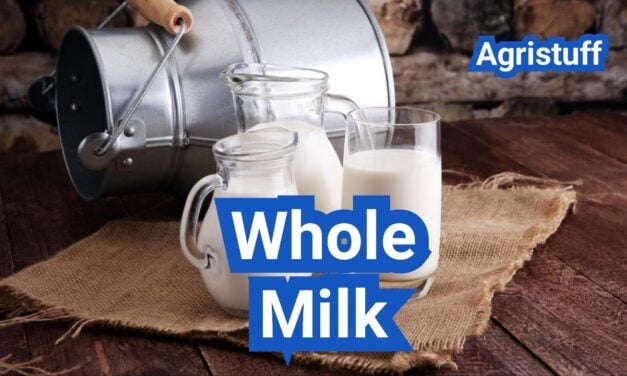 Whole Milk: Fat Content, Standards, and Best Uses